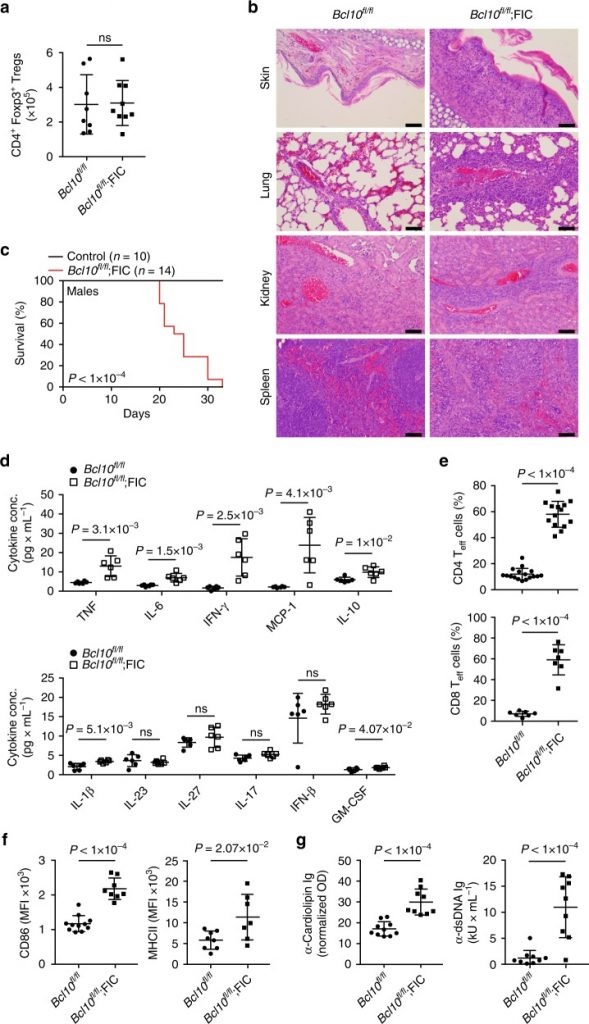 Bcl10-controlled Malt1 paracaspase activity is key for the immune suppressive function of regulatory T cells.