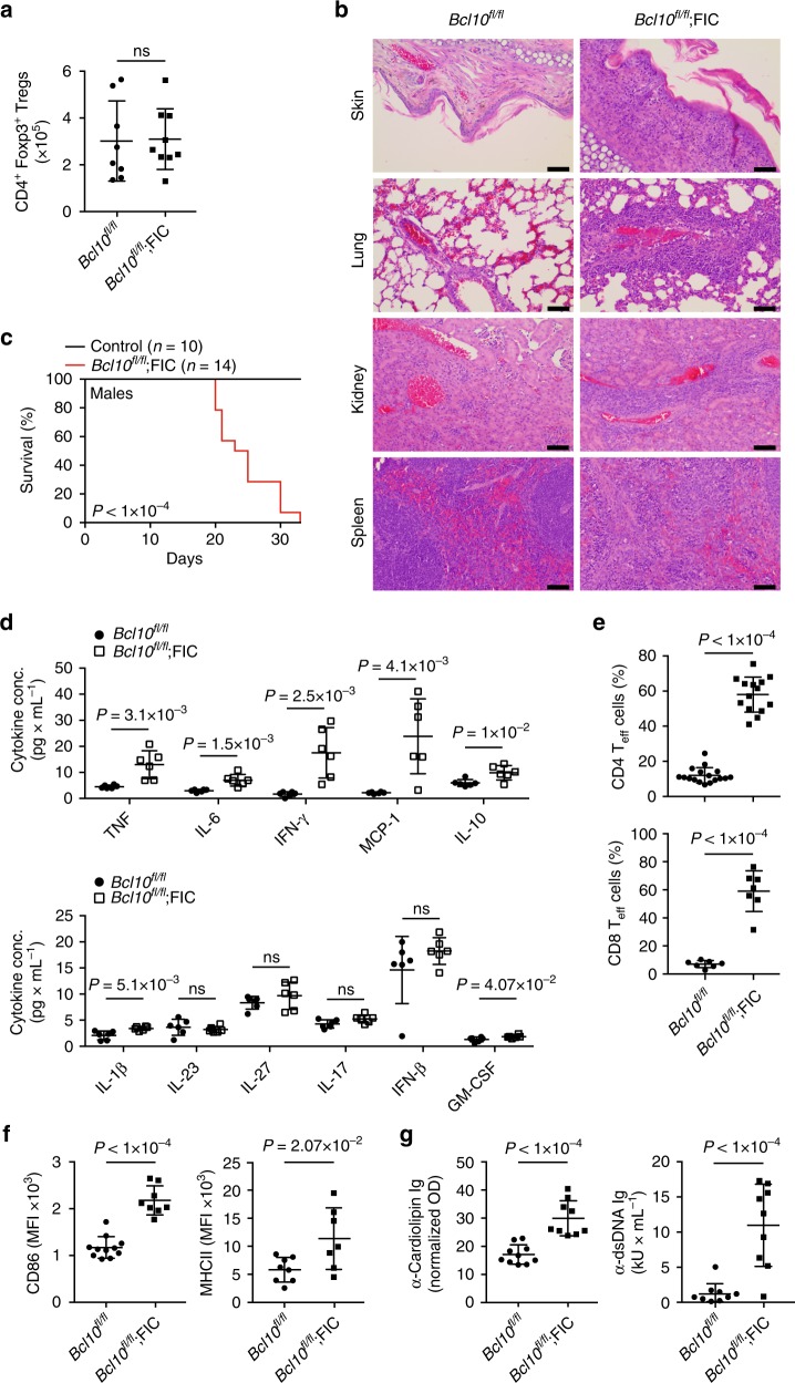 Bcl10-controlled Malt1 paracaspase activity is key for the immune suppressive function of regulatory T cells.